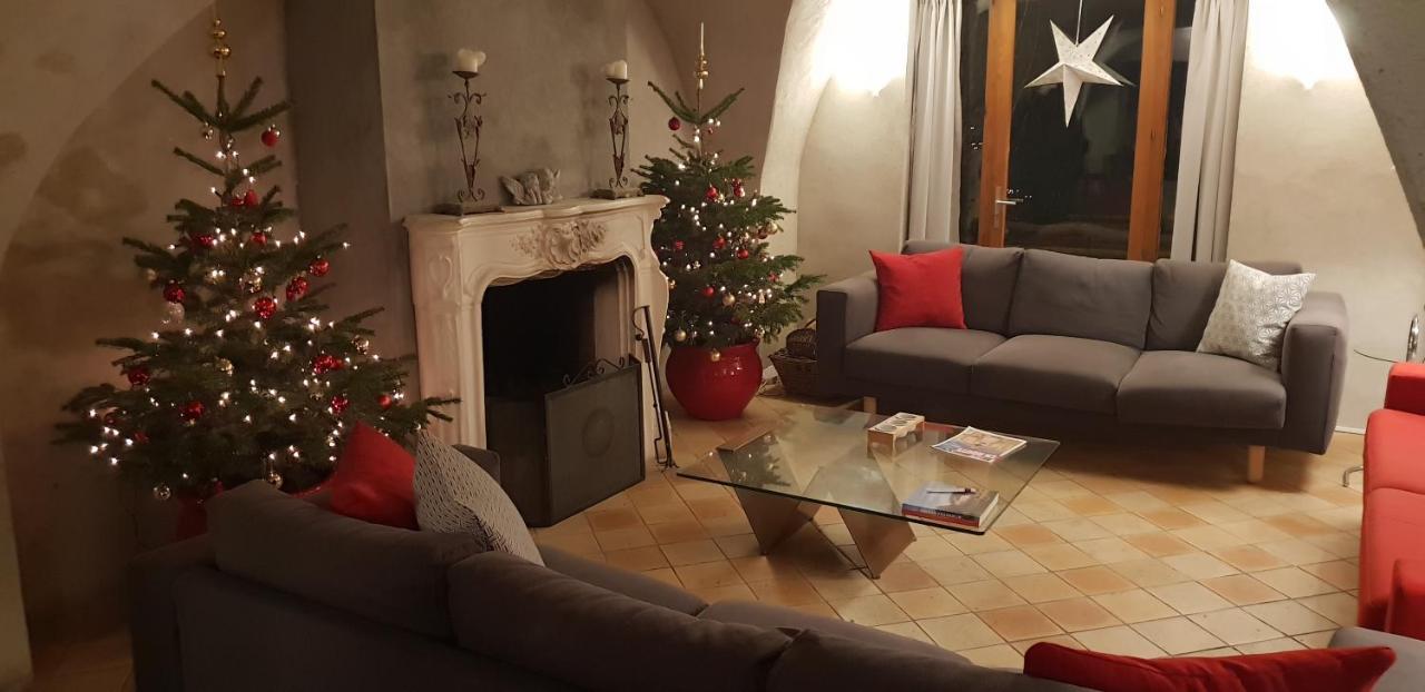 ווז'אני Chalet Solneige מראה חיצוני תמונה